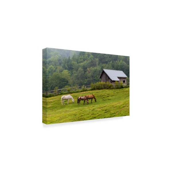 Brenda Petrella Photography Llc 'Horse Farm Green' Canvas Art,22x32